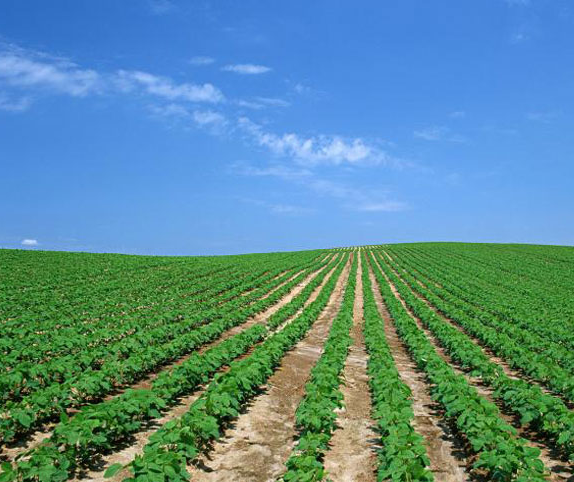 环境监测技术